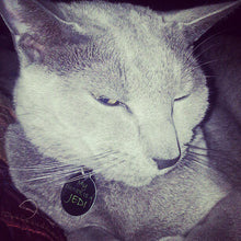 Load image into Gallery viewer, My owner is a Jedi Pet Tag