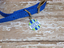 Load image into Gallery viewer, Striped Pet ID Name tag