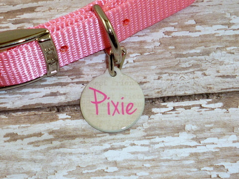 Dog Best Friend Pet Tag